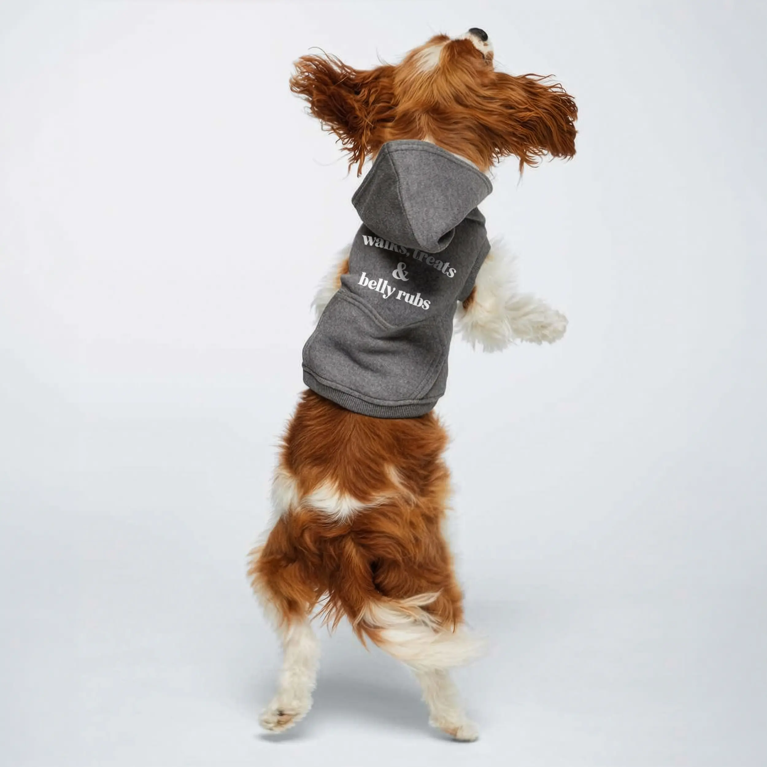 a dog jumping, wearing a walks treats belly rubs dog hoodie in granite heather